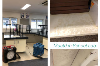 Mould Remediation in School